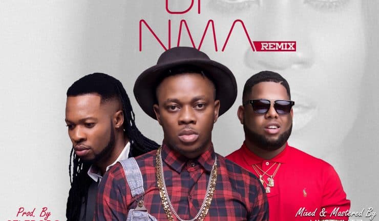 Nwata Di Nma (Remix)