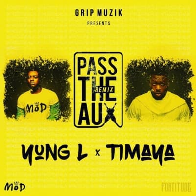 Pass The Aux (Remix)