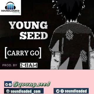 Carry Go