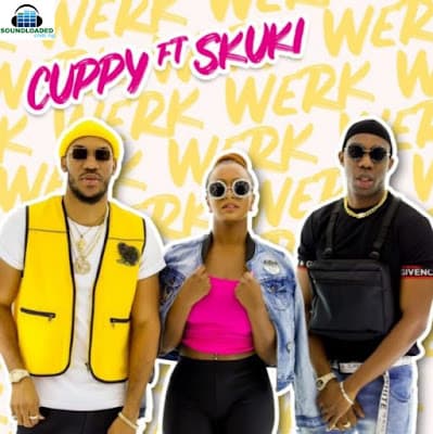 Werk ft. Skuki