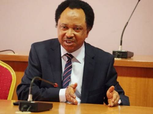 If Terrorists Can Have Paid Informants, Nigerian Government Should Also Pay Informants To Fight Insecurity –Senator Shehu Sani