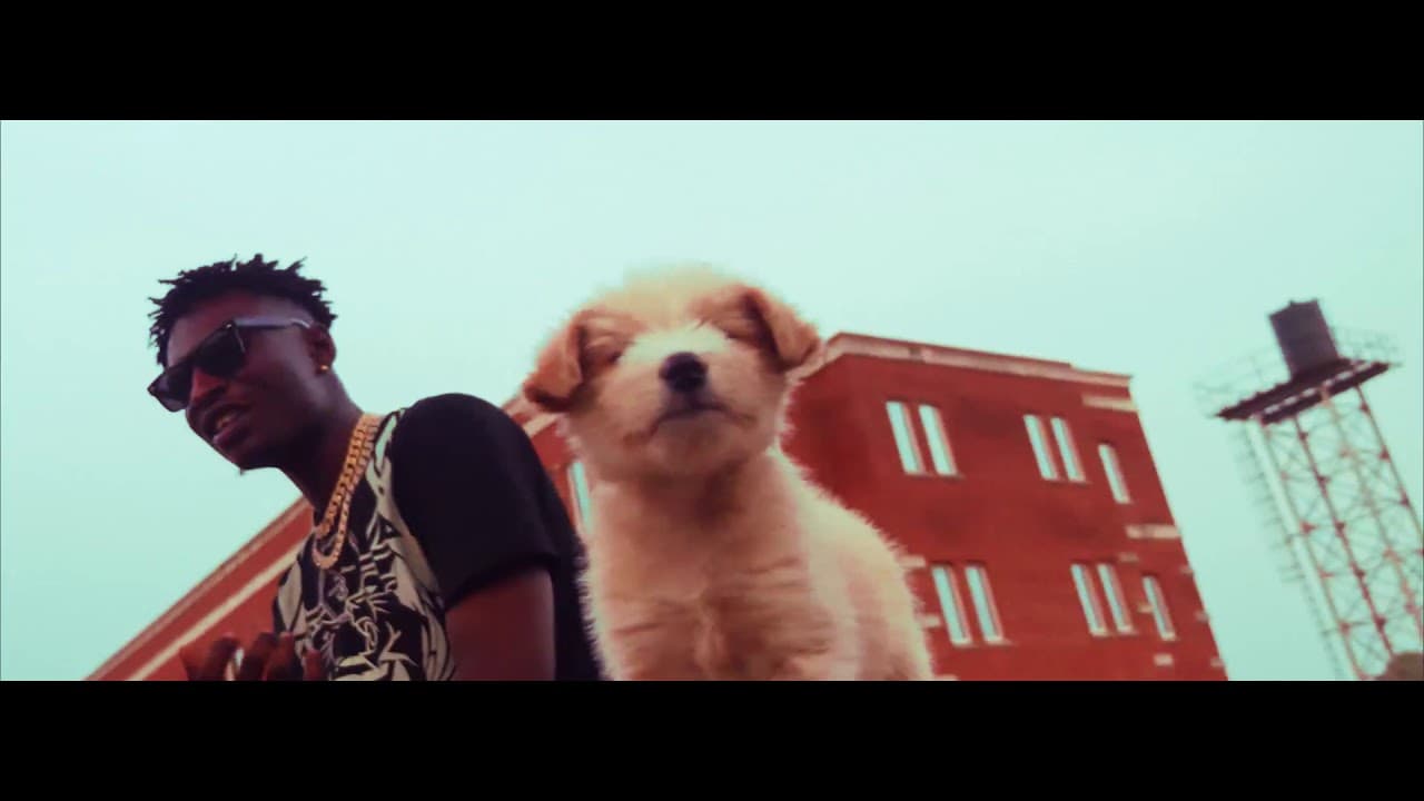 Bwoi WEALTH – Las Las